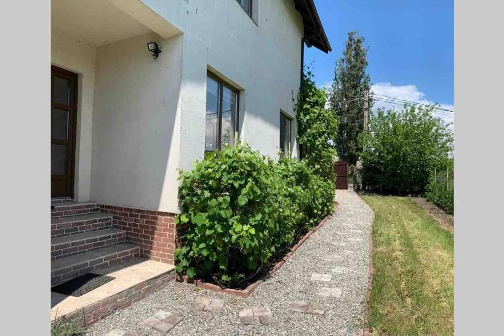 Casa Andreea. Cheerful 4-Bedroom Villa Bod Bagian luar foto